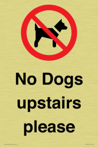 No Dogs upstairs please 